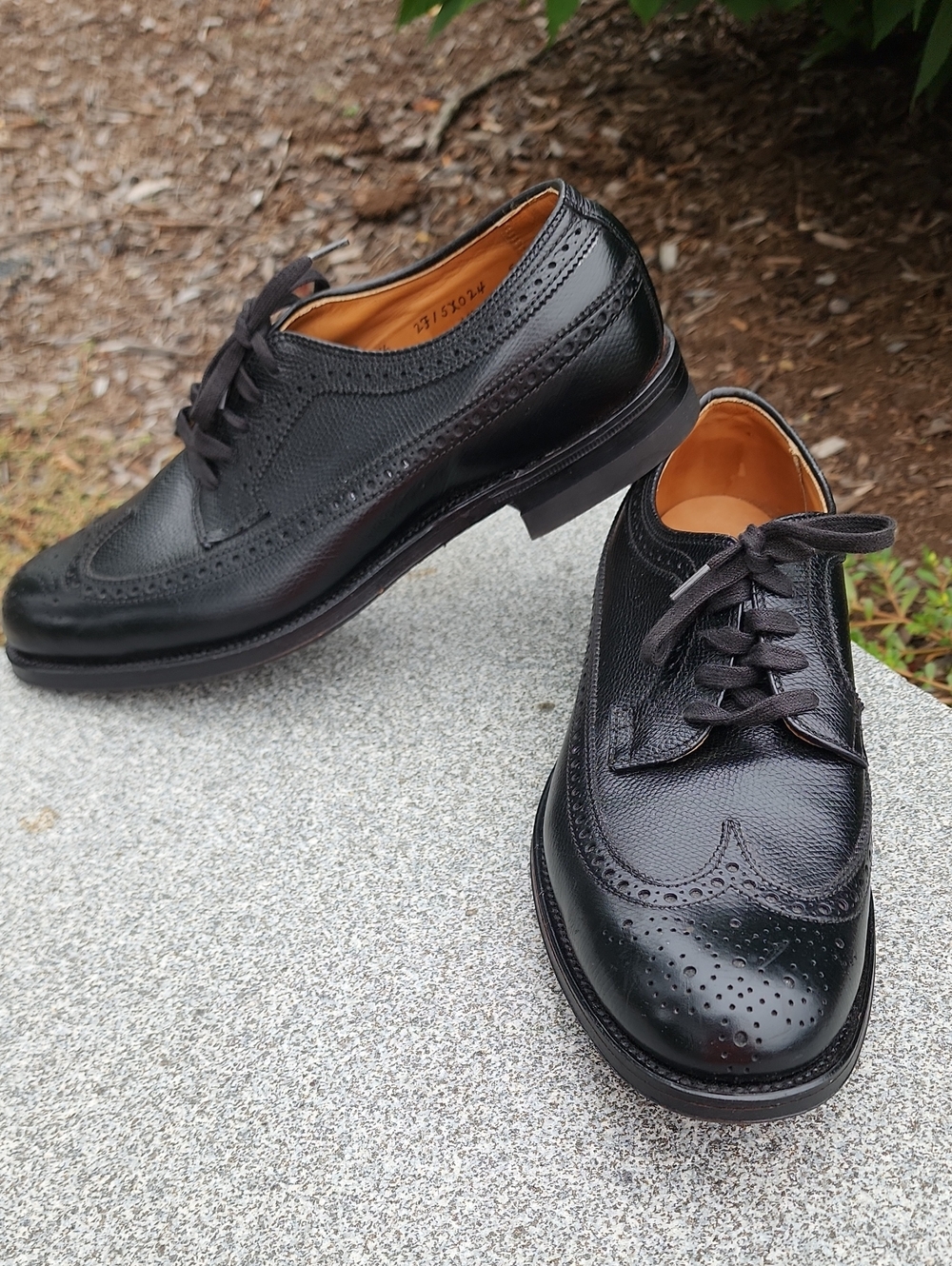 Alden 679 Black Alpine Grain Long Wing Blucher Shoes 7.5 D